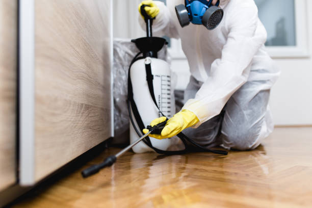 Best Residential Pest Control  in Prescott, AZ
