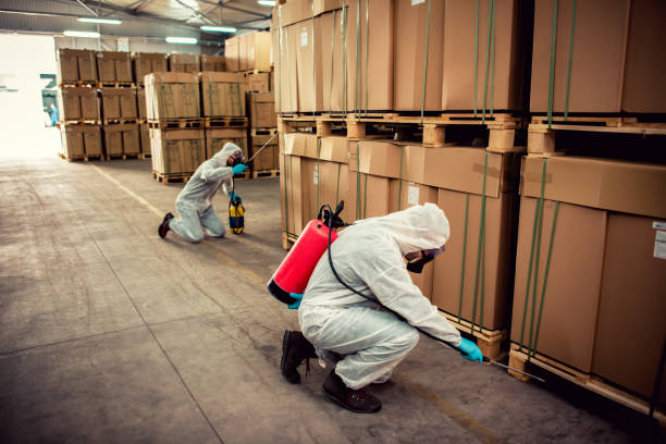 Best Affordable Pest Control Services  in Prescott, AZ