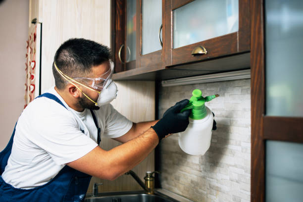 Best Flea Control Services  in Prescott, AZ