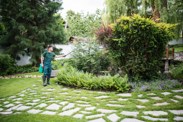 Best Pest Inspection Near Me  in Prescott, AZ